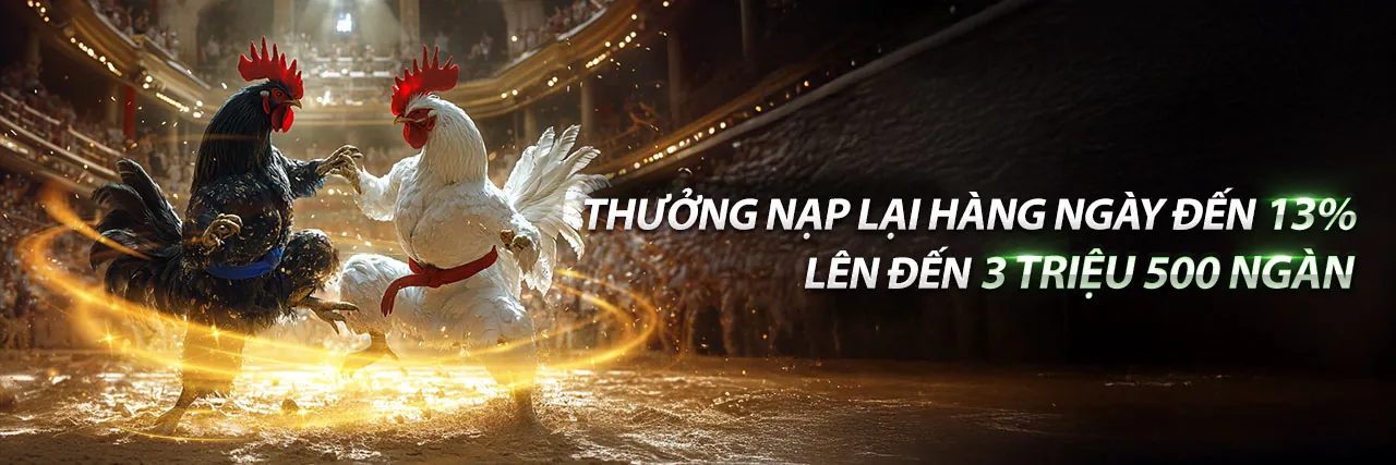 Bảo vệ quyền riêng tư và dữ liệu của bạn tại Benbet Game